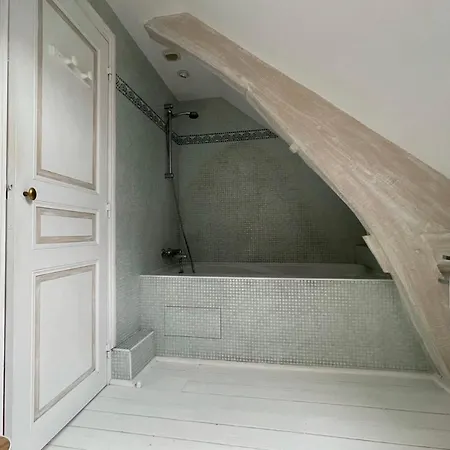 Superb Duplex Near The Halles De * Tours